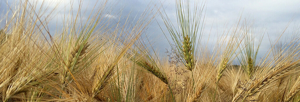 Fitness mit Valérie Fröhlich in Affoltern am Albis und Aeugst am Albis
